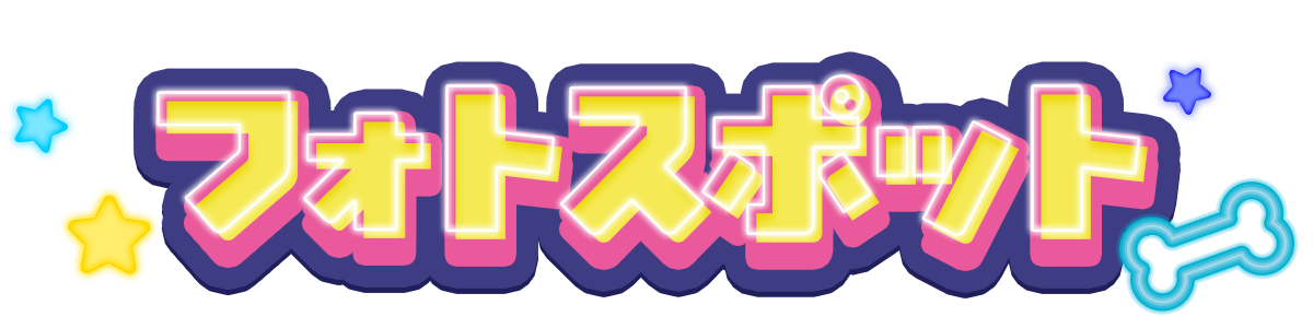 フォトスポット?>